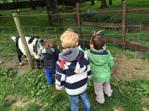 Oh my, you three monkeys keep me on my toes!